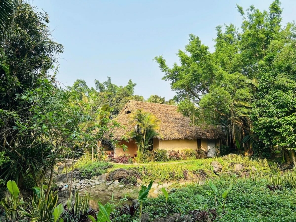 Standard Secret Garden